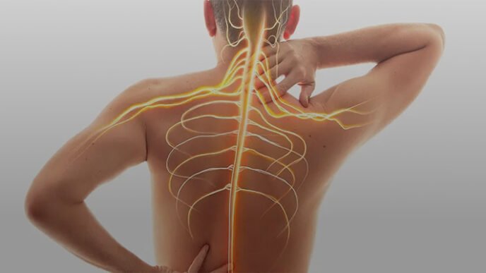 Sinir sistemi desteksiz değilmiş: Astro­sit hücreleri beyinde aktif haber taşıyıcılarmış