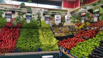 Türkiye’nin 85 Yıllık Gıda Devi Özel Gıda Konkordato İlan Etti