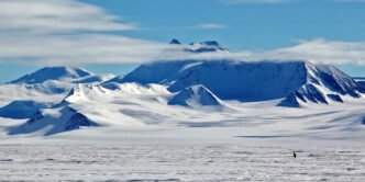 Antarktika’da Yapay Zeka Devrimi: Deniz Canlıları Artık Saniyeler İçinde Tespit Ediliyor