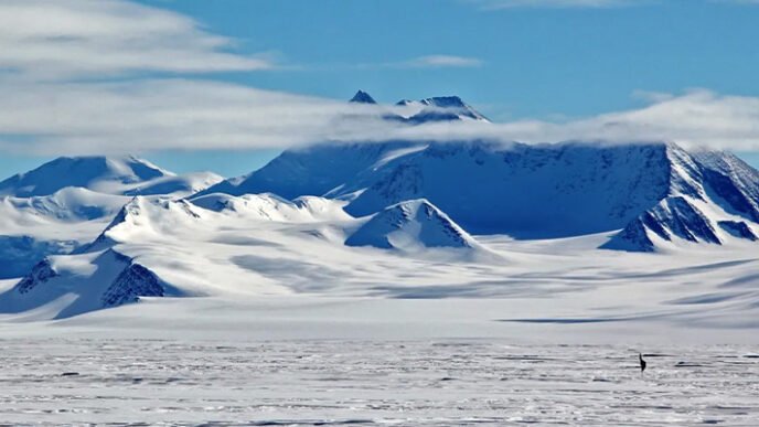 Antarktika’da Yapay Zeka Devrimi: Deniz Canlıları Artık Saniyeler İçinde Tespit Ediliyor
