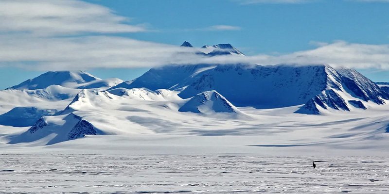 Antarktika’da Yapay Zeka Devrimi: Deniz Canlıları Artık Saniyeler İçinde Tespit Ediliyor