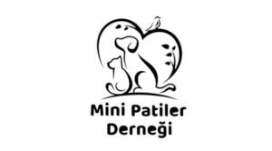 liberal medya 141 7MiniPatiler