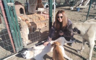 Hayvan Severlerin Pazar Mesaisi…