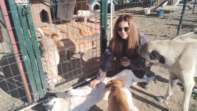 Hayvan Severlerin Pazar Mesaisi…