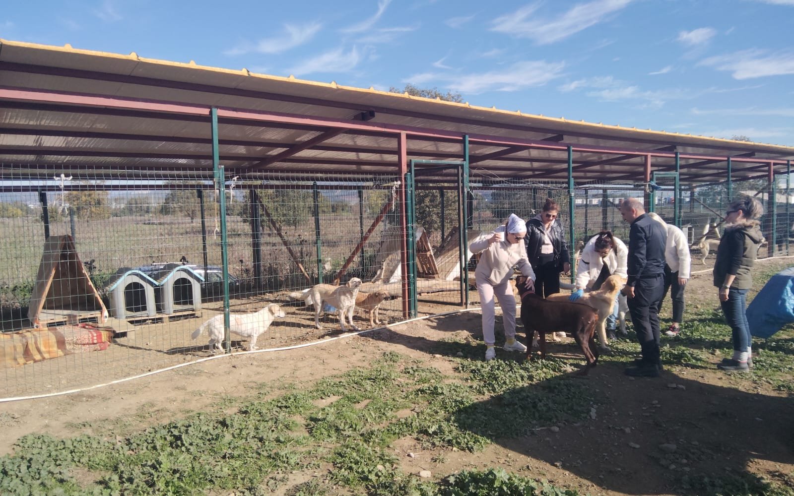 Hayvanseverlerin Pazar Mesaisi…