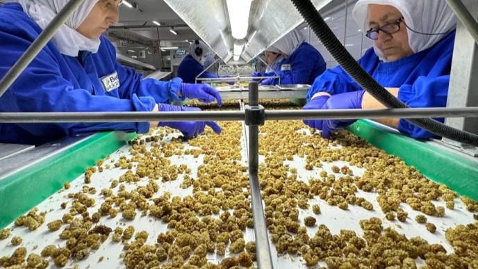 Çin’de organik sektörü 15 milyar dolarlık hacme ulaştı