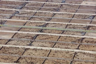 Endüstriyel hayvancılık küresel iklim hedeflerini tehdit ediyor