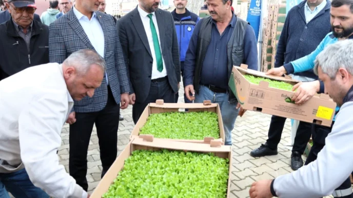 Kocaeli’de Gebzeli çiftçilere 500 bin fide dağıtıldı