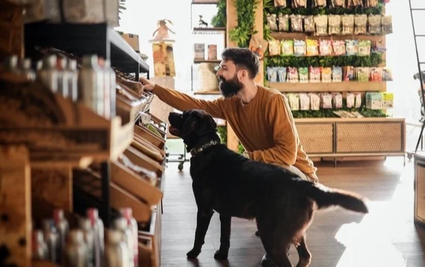 Köpek ve kedi sahipleri sürdürülebilir diyetlere daha açık