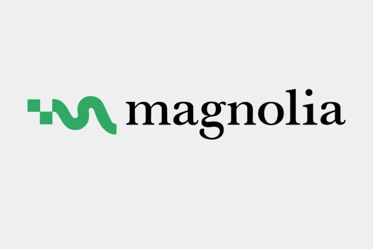 Magnolia, küresel büyüme ve yapay zekâ stratejisini güçlendirmek için Luc Haldimann’ı Yönetim Kurulu Başkanı olarak atadı