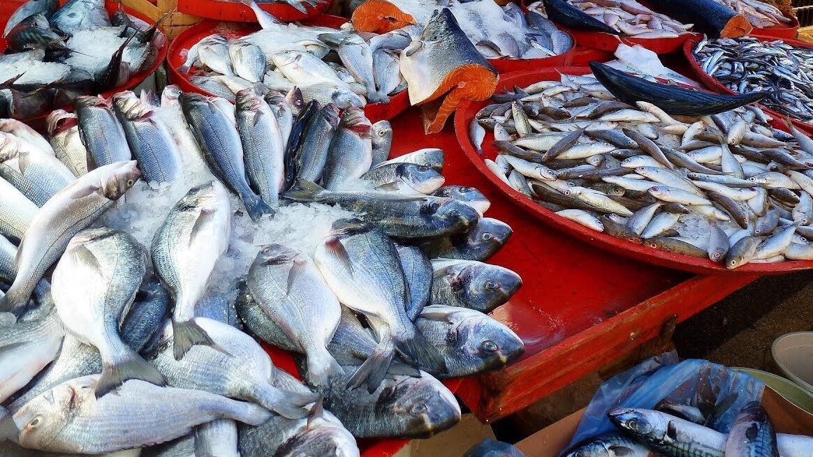 palamut bu yıl neredeyse yok: lüfer uçtu, hamsi ve sardalya tezgâhların kurtarıcısı oldu 3 Palamut Bu Yıl Neredeyse Yok: Lüfer Uçtu, Hamsi ve Sardalya Tezgâhların Kurtarıcısı Oldu