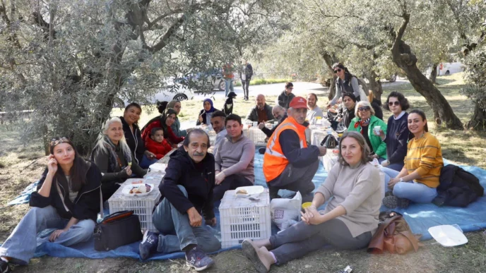 Mudanya'da birlikte zeytin topladılar