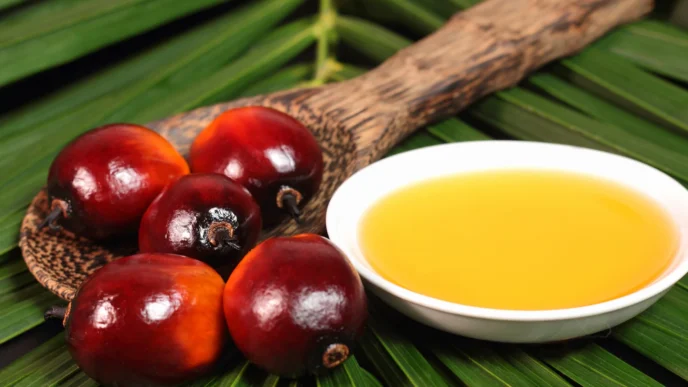Palmiye yağının sağlık rolü bilimsel bulgularla netleşiyor