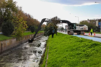 Sakarya Çark Deresi'ne nefes