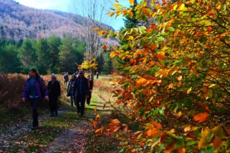 Sakarya’da doğa yürüyüşlerinde sonbahar coşkusu