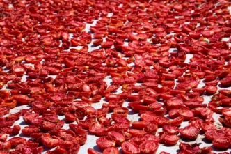 Şifa deposu kuru domates ihracatta dünya ikincisi