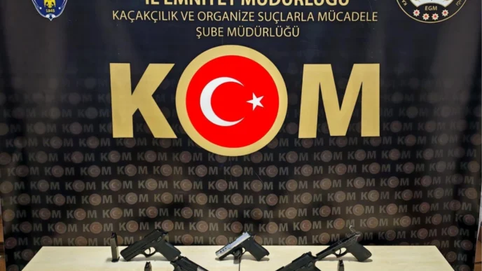 Bilecik'te kaçak silah operasyonu