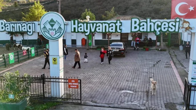 Giresun Hayvan Barınağı 2025’e damga vurdu