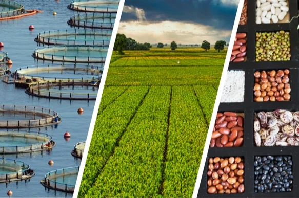 255 milyon lira çiftçilerin hesabında