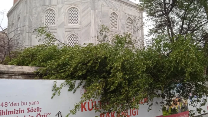Ayasofya Camii'nde minare alem düştü! Bahçedeki ağaç kontrol altında
