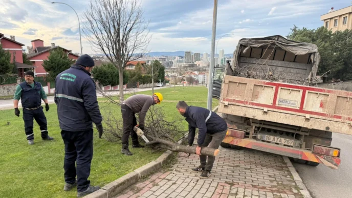 Bursa'da şiddetli lodosun devirdiği ağaçlara Osmangazi'den anında müdahale