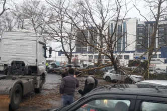 İstanbul'da fırtına: Ağaç devrildi, sahil yolları kapandı!
