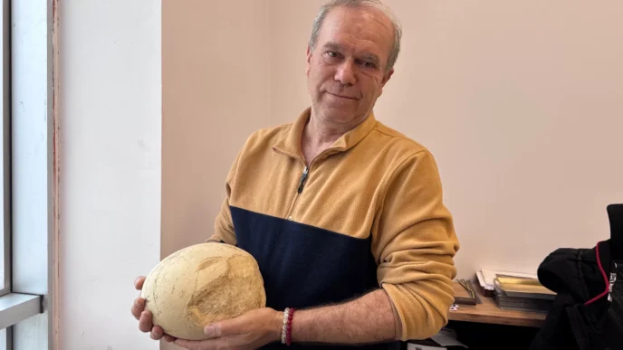 Jeomorfolog Ahmet Bolat Kahramanmaraş’ta dinozor yumurtası buldu