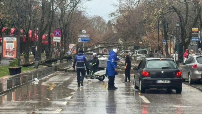 Kocaeli Büyükşehir'de lodos müdahalesi
