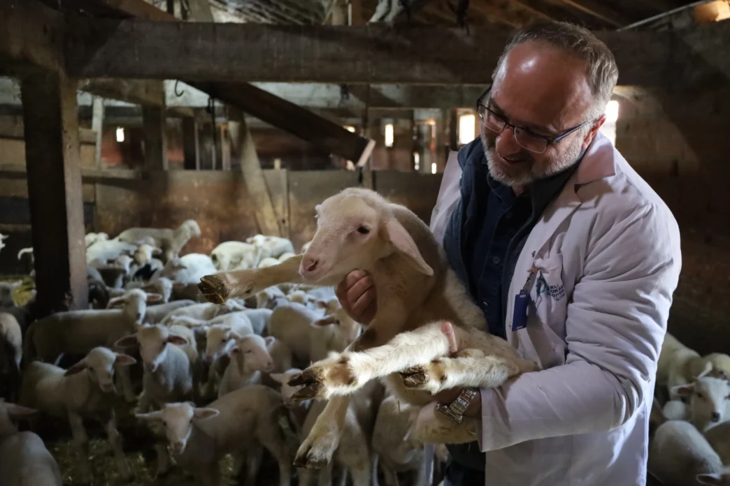 Kocaeli’de 2025 'çiftçinin yılı' oldu... 166 milyon TL destek sağlandı