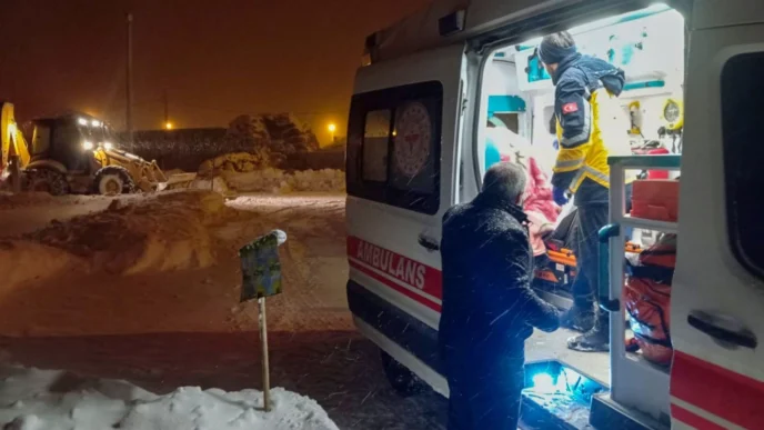 Van'da yaşamı durduran kar afeti