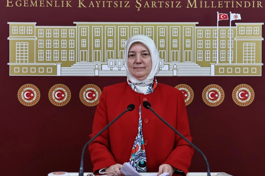 AK Partili Gözgeç’ten 28 Şubat mesajı