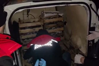 İzmir'de yasadışı avcılığa karşı sıkı önlem