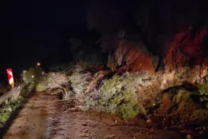 Mudanya-Kurşunlu yolunda geceyarısı heyelan! Yol ulaşıma kapandı