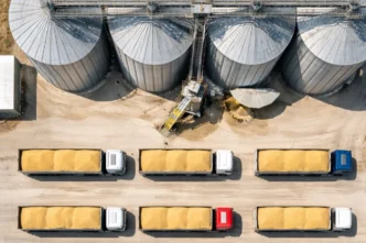 TMO’dan buğday satışı... 1,2 milyon ton stok günlük açık artırmada