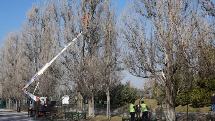 Eskişehir Sazova Parkı’nda çalışmalar devam ediyor