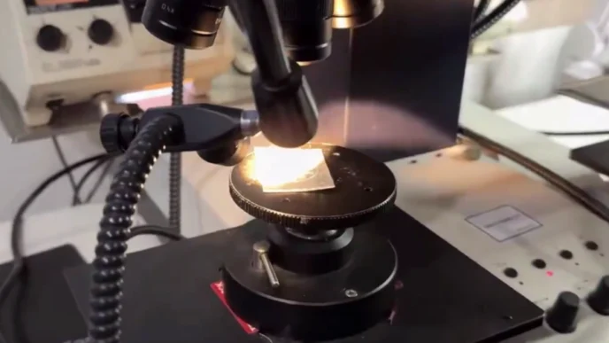 15 yıllık cinayette JASAT DNA ile katile ulaştı!