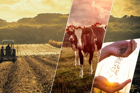 17,4 milyar TL'lik tarımsal destek çiftçilerin hesabında