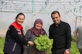 İpsala Esetçe’de 'Meryem Teyze' örneği... Yüzde 75 hibeli serada verimlilik artıyor
