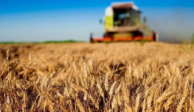 Kırsal kalkınmaya büyük destek... Tarım ve Orman'dan 30 milyon TL’ye kadar hibe!