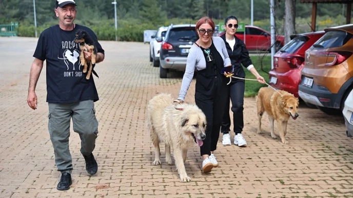 Antalya Büyükşehir Bakımevi’nde can dostlar sıcak yuvalarına kavuşuyor