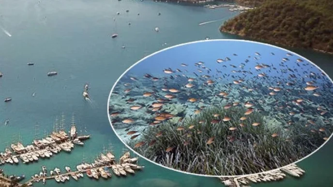 Mapa Şamandıra Sistemi ile denizler ve koylar koruma altında