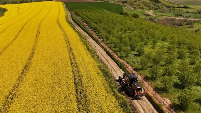 Tarla yolları hasada hazırlanıyor