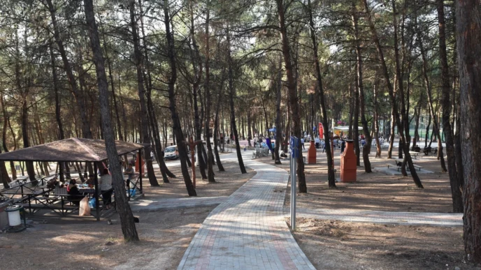 Bursa'da ormanlara giriş yasağı 15 Ekim'e kadar sürecek