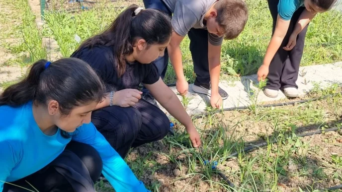 Bursa Nilüferli öğrenciler kendi bitkilerini yetiştirecek