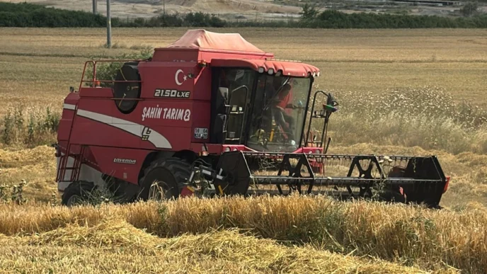 Edirne Keşan'da ilk arpa hasadı... Çiftçi fiyattan dertli