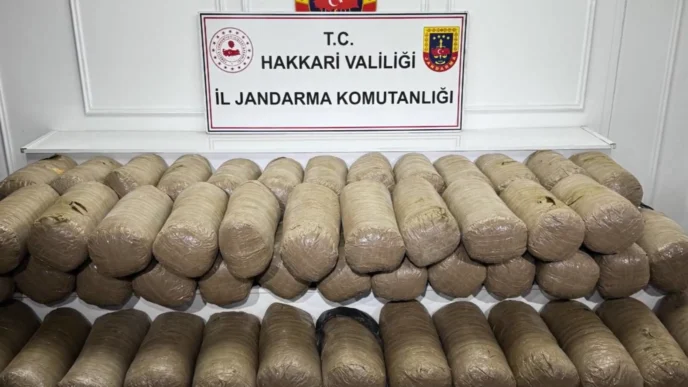 Hakkari'de 503 kilo esrar ele geçirildi