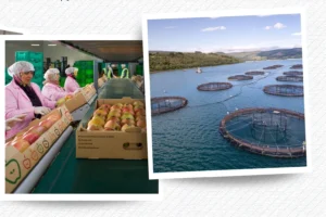 IPARD III’ten 30 milyon Avroluk çağrı