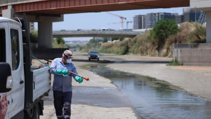 İstanbul Bakırköy'de vektörle mücadele yoğunlaştı