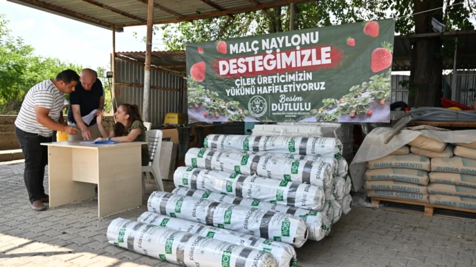 Manisa’da çilek üreticisine Büyükşehir’den destek