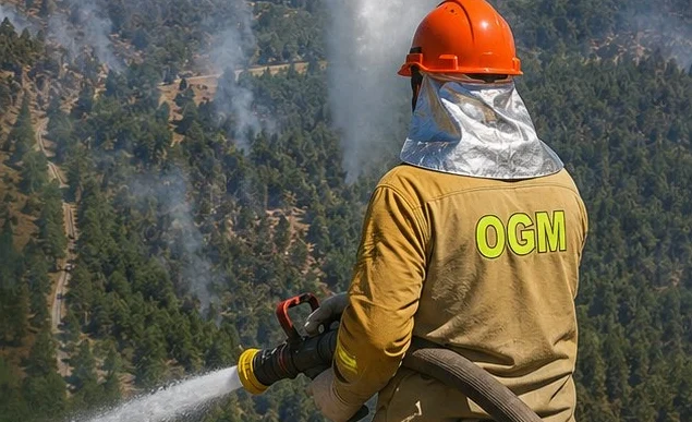 Orhaneli’deki orman yangını kontrol altına alındı